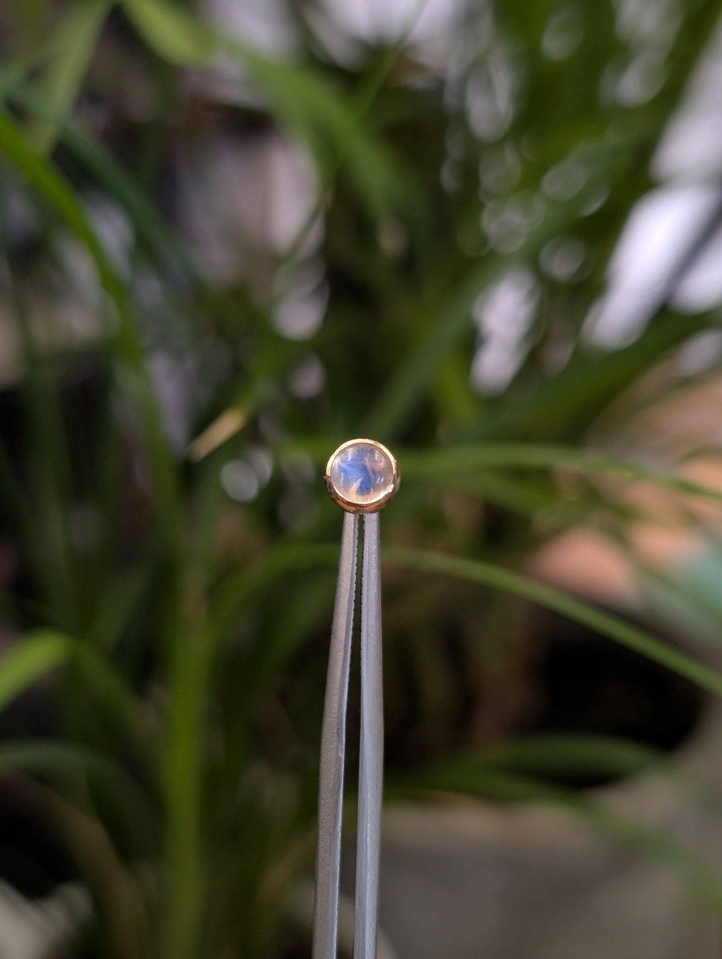 Moonstone Threadless End - Aurum Deorum - piercing jewellery