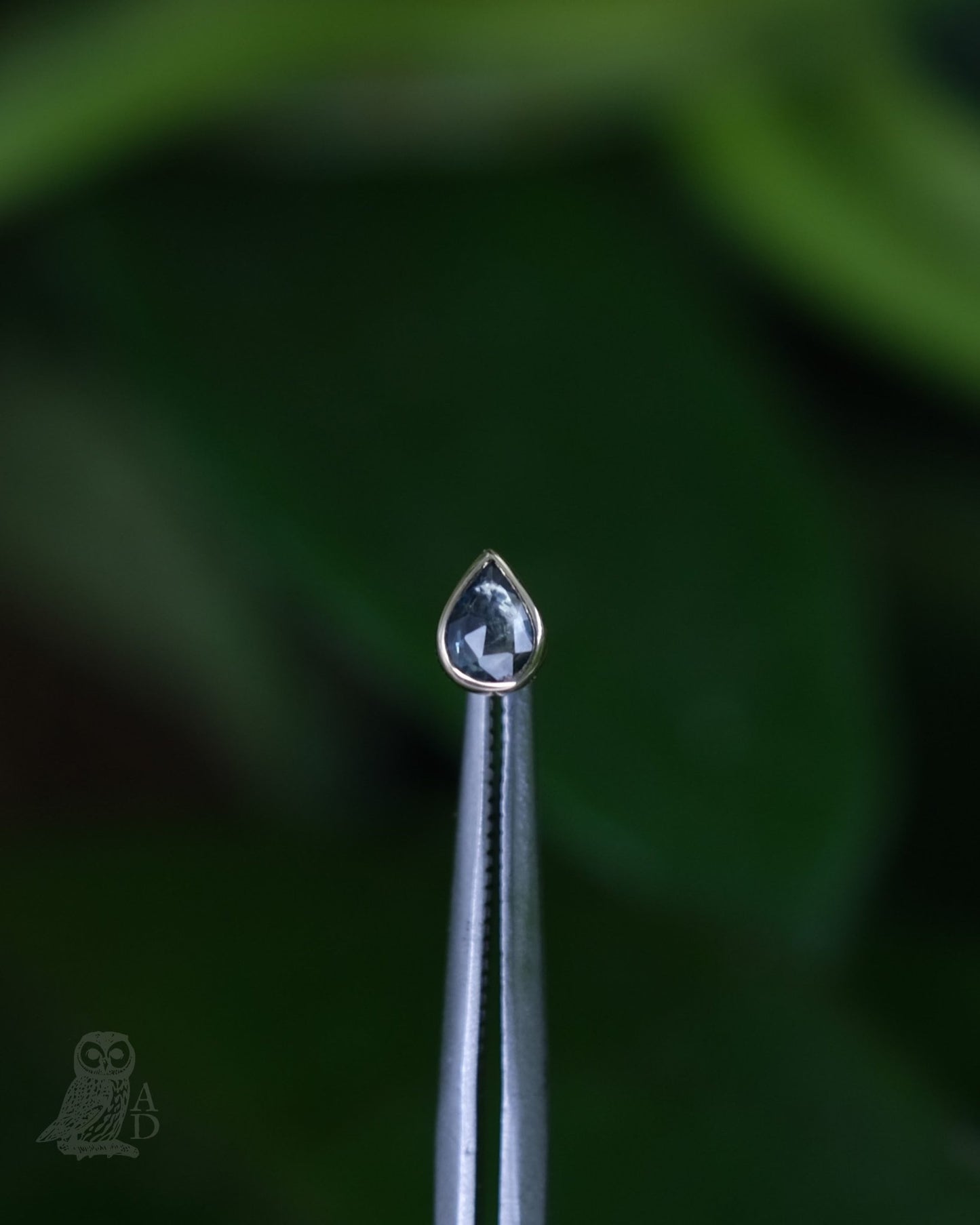 Pear Sappa Purus End - Aurum Deorum - piercing jewellery