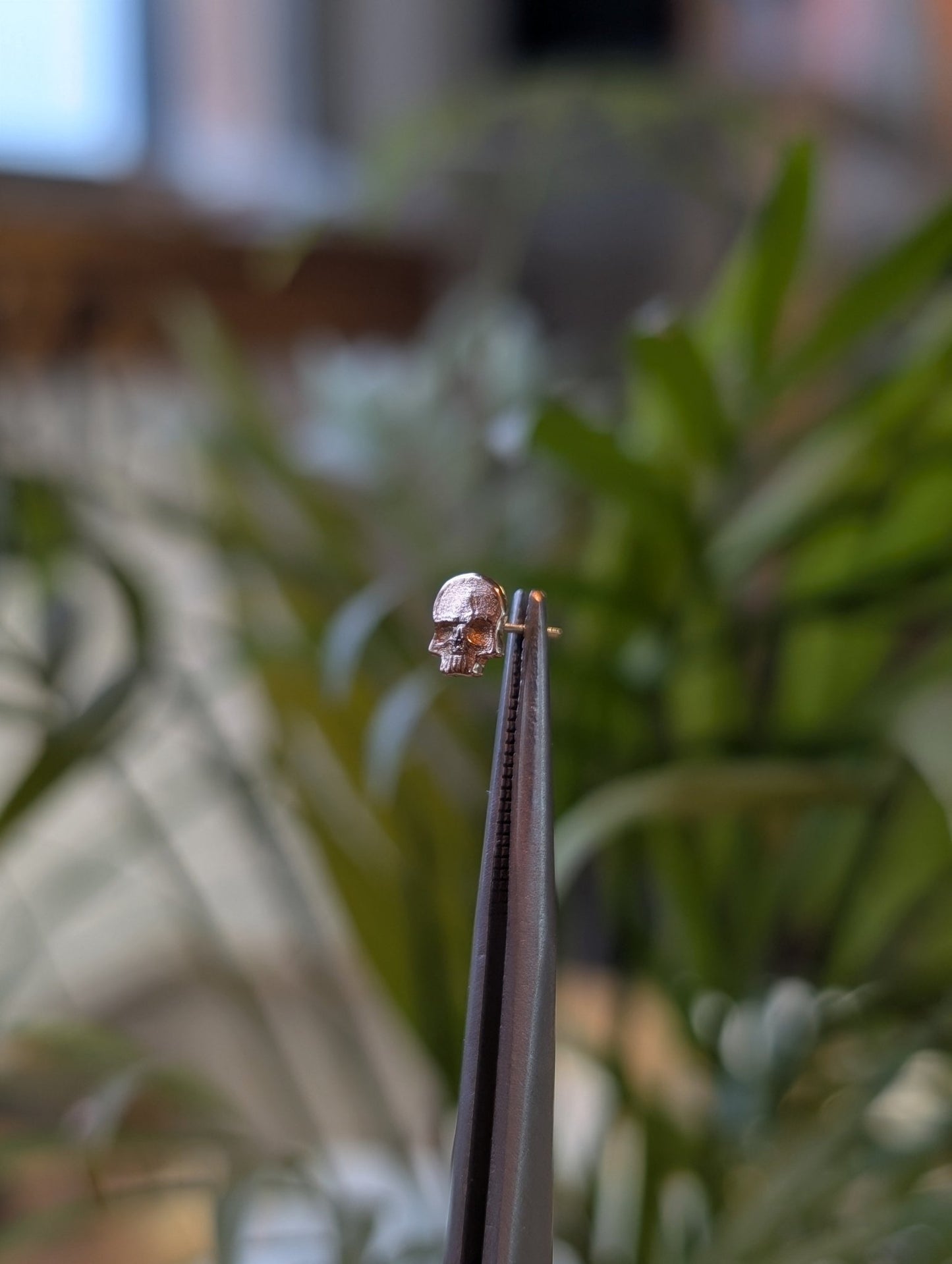 Skull No.2 Threadless End - Aurum Deorum - piercing jewellery