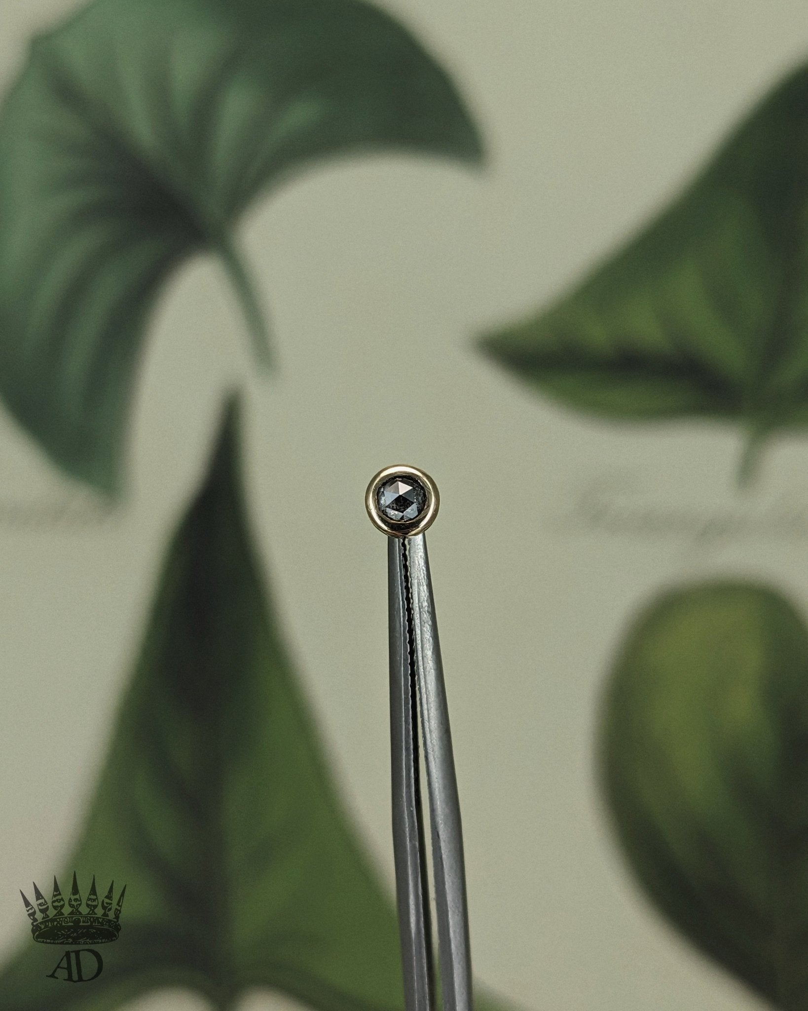 Dia Purus End - Aurum Deorum - piercing jewellery