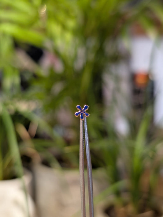 Enamelled Smol Flower Threadless End - Aurum Deorum - piercing jewellery