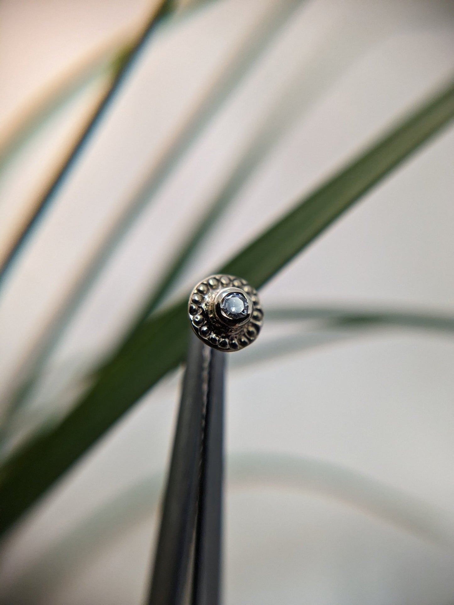 Moissanite diamond end 1.5 milgrain - Aurum Deorum - piercing jewellery