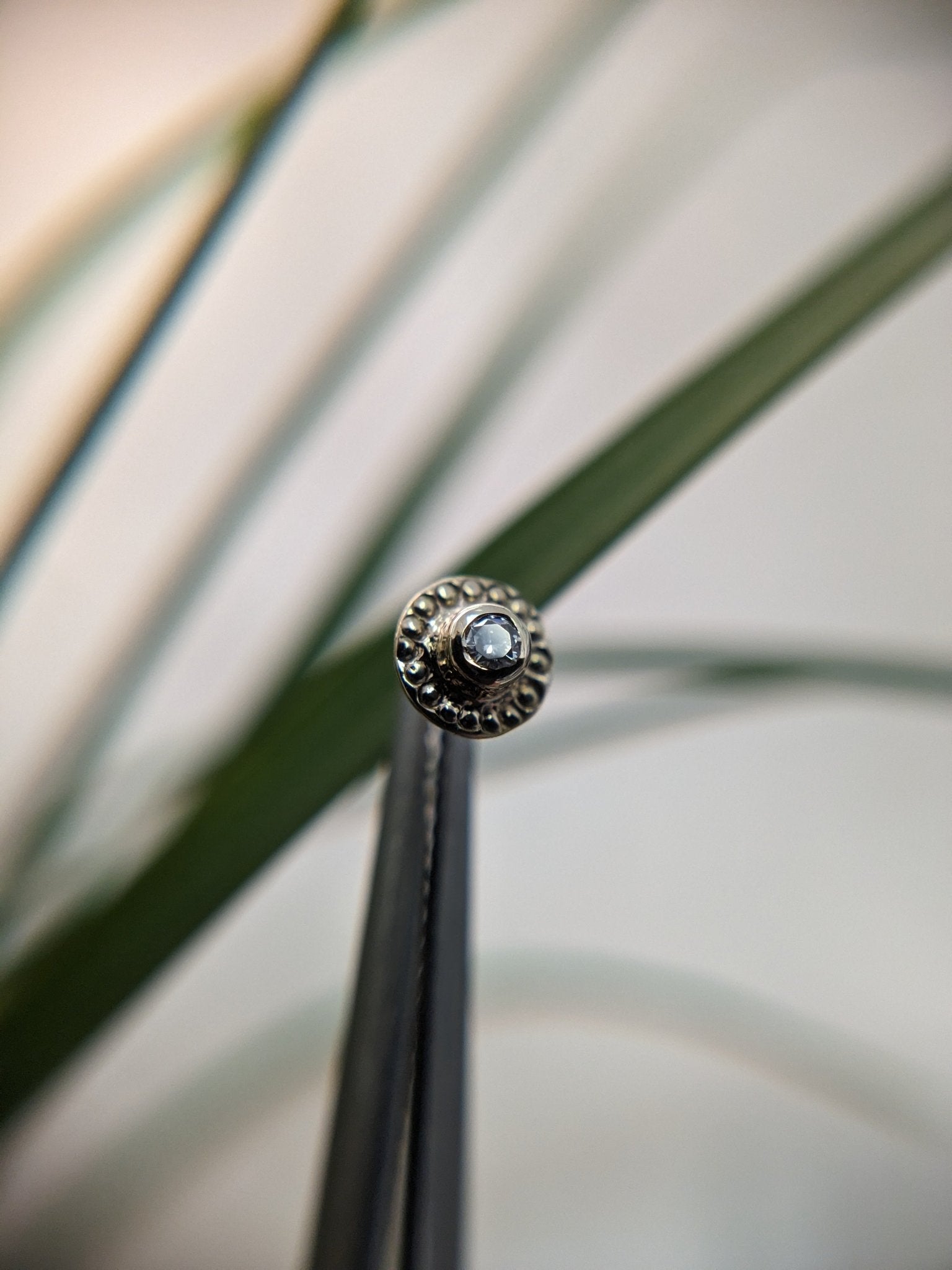 Moissanite diamond end 1.5 milgrain - Aurum Deorum - piercing jewellery