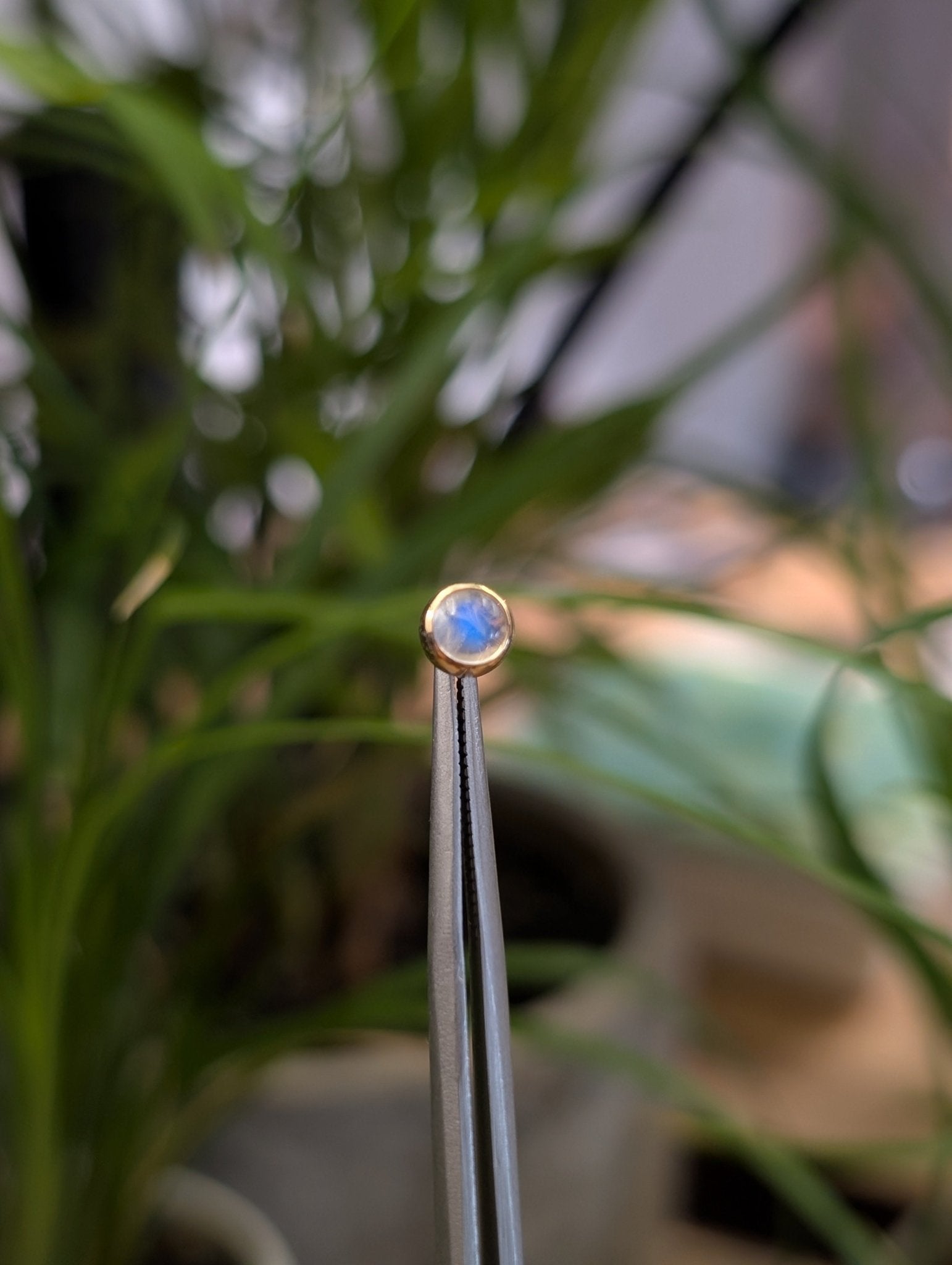 Moonstone Threadless End - Aurum Deorum - piercing jewellery