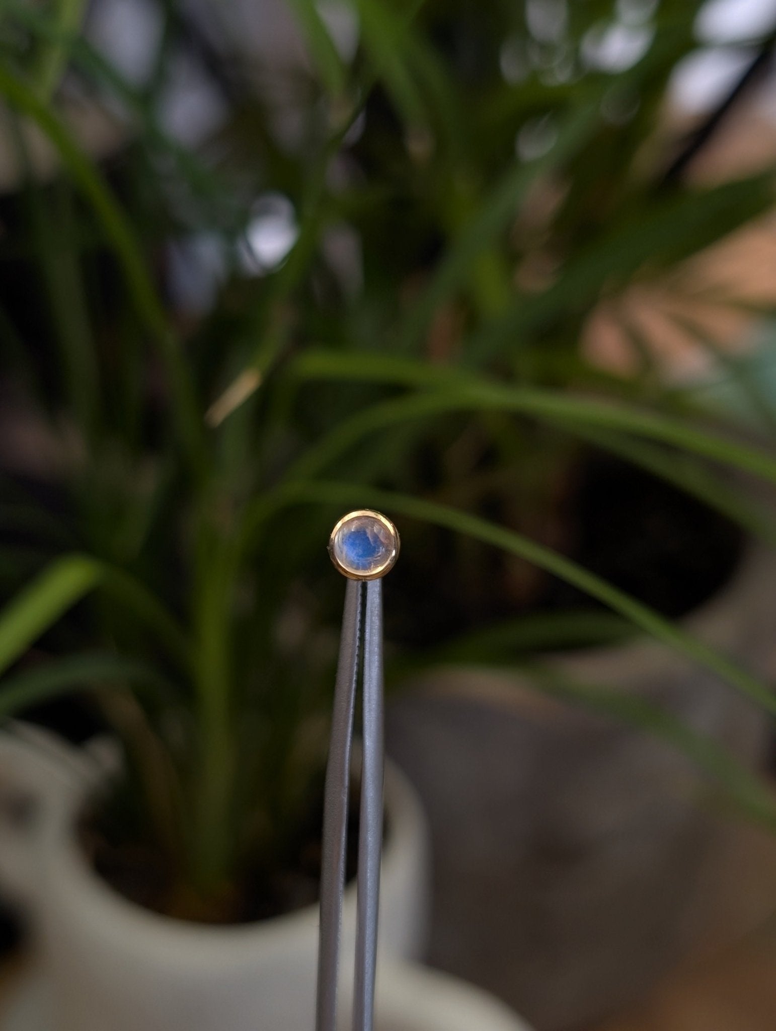 Moonstone Threadless End - Aurum Deorum - piercing jewellery