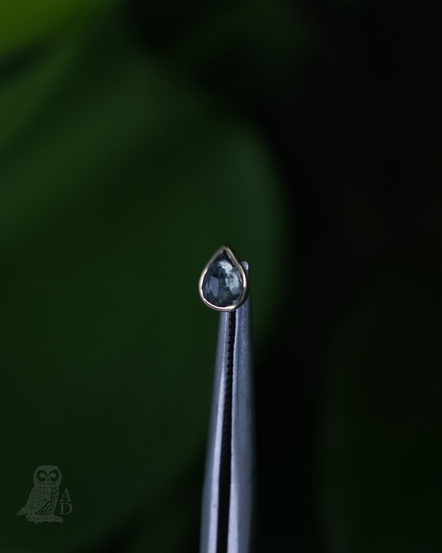 Pear Sappa Purus End - Aurum Deorum - piercing jewellery