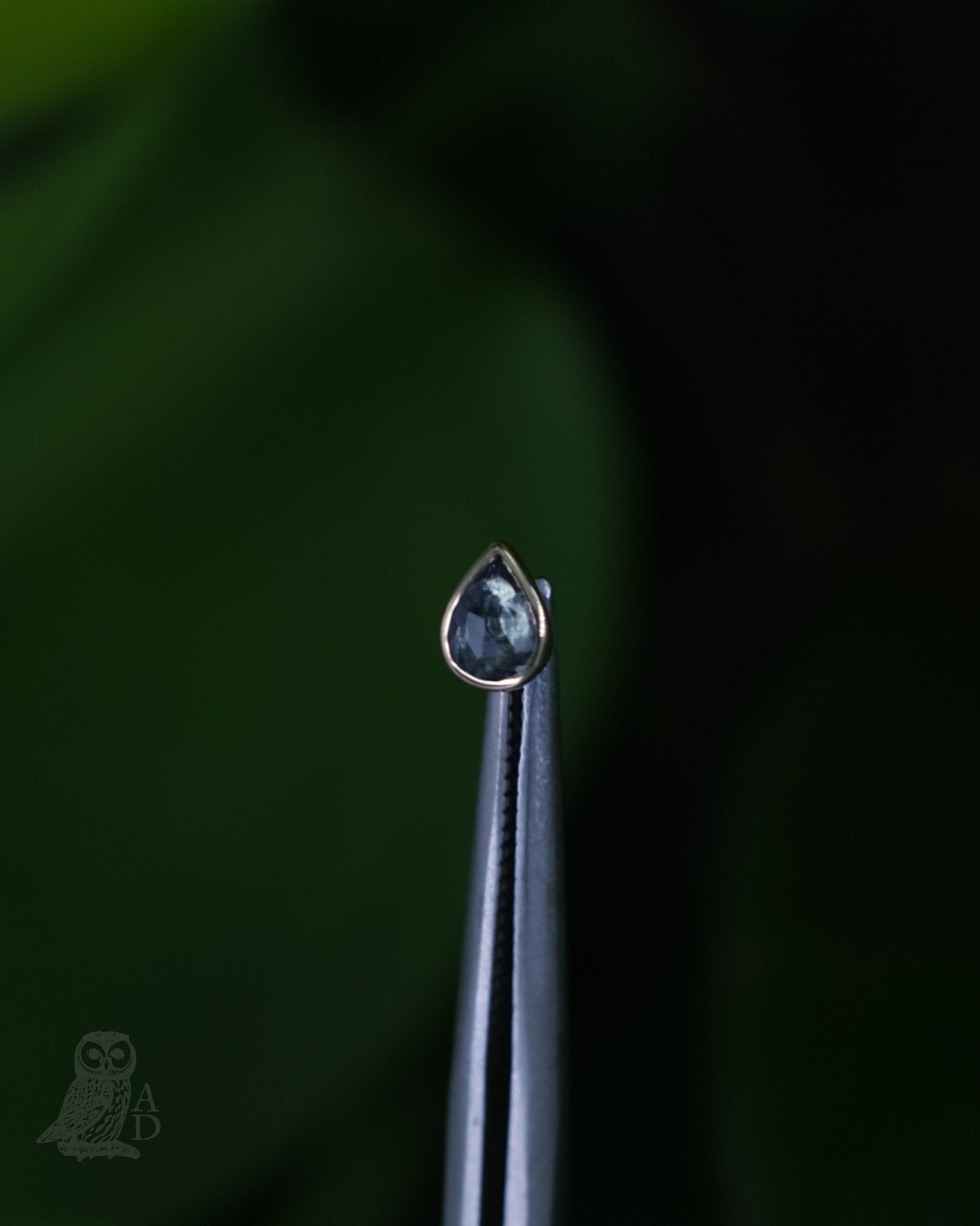 Pear Sappa Purus Threadless End - Aurum Deorum - piercing jewellery