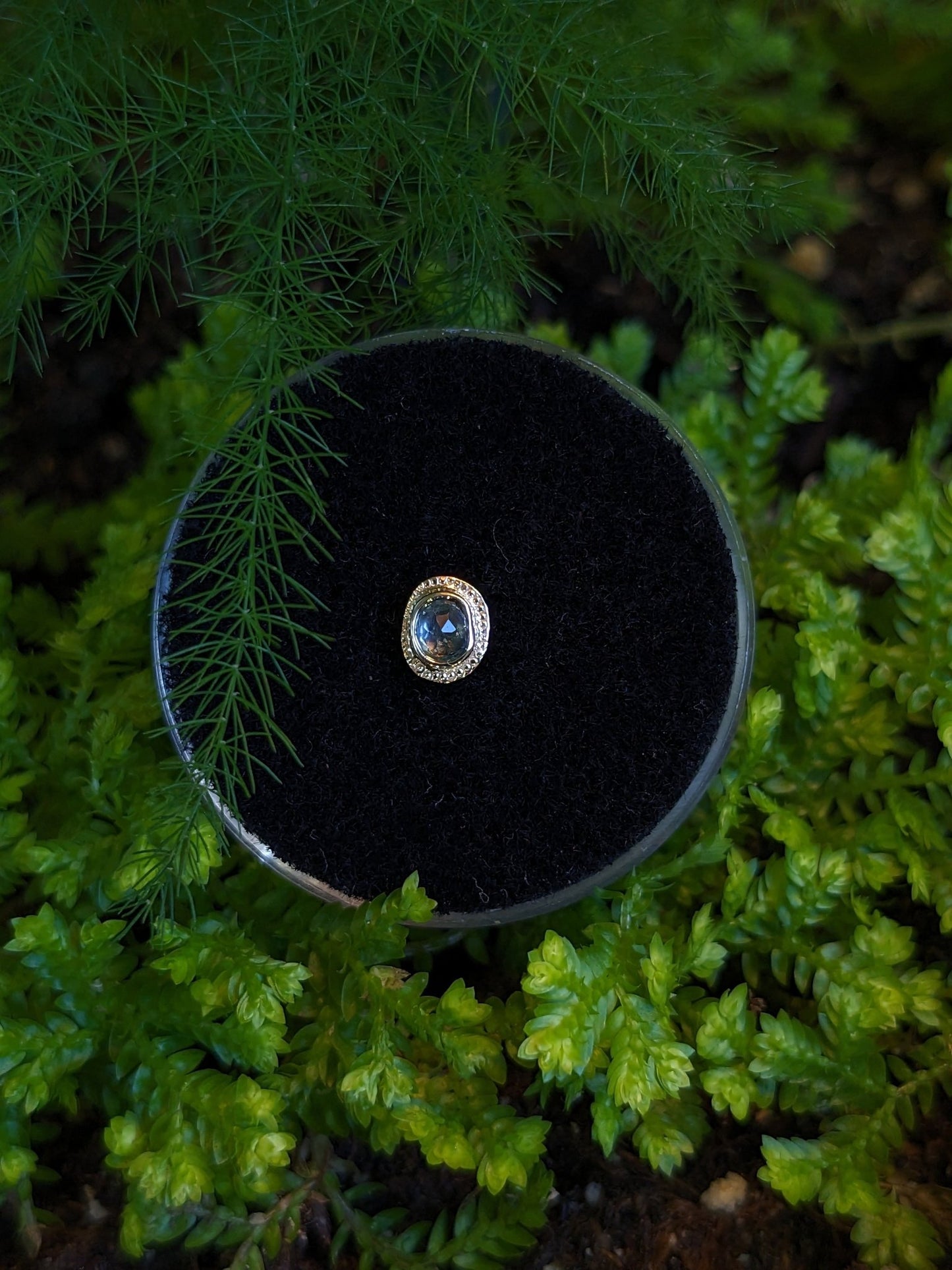 Phaistos Ornatia End - Aurum Deorum - piercing jewellery