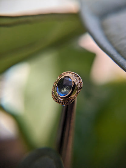 Phaistos Ornatia Threadless End - Aurum Deorum - piercing jewellery