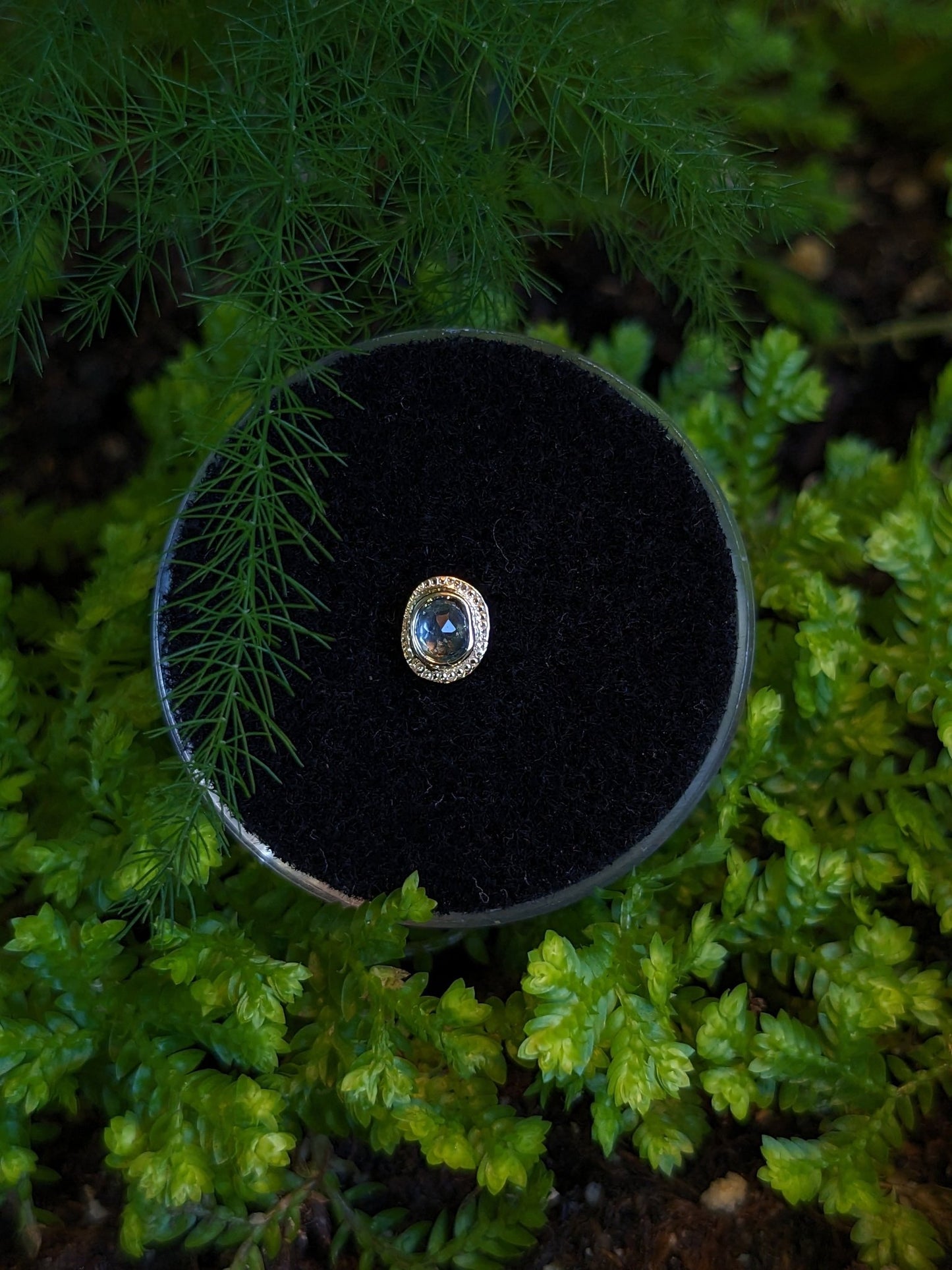 Phaistos Ornatia Threadless End - Aurum Deorum - piercing jewellery