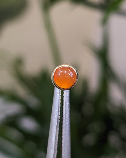 Round Purus End - Aurum Deorum - piercing jewellery