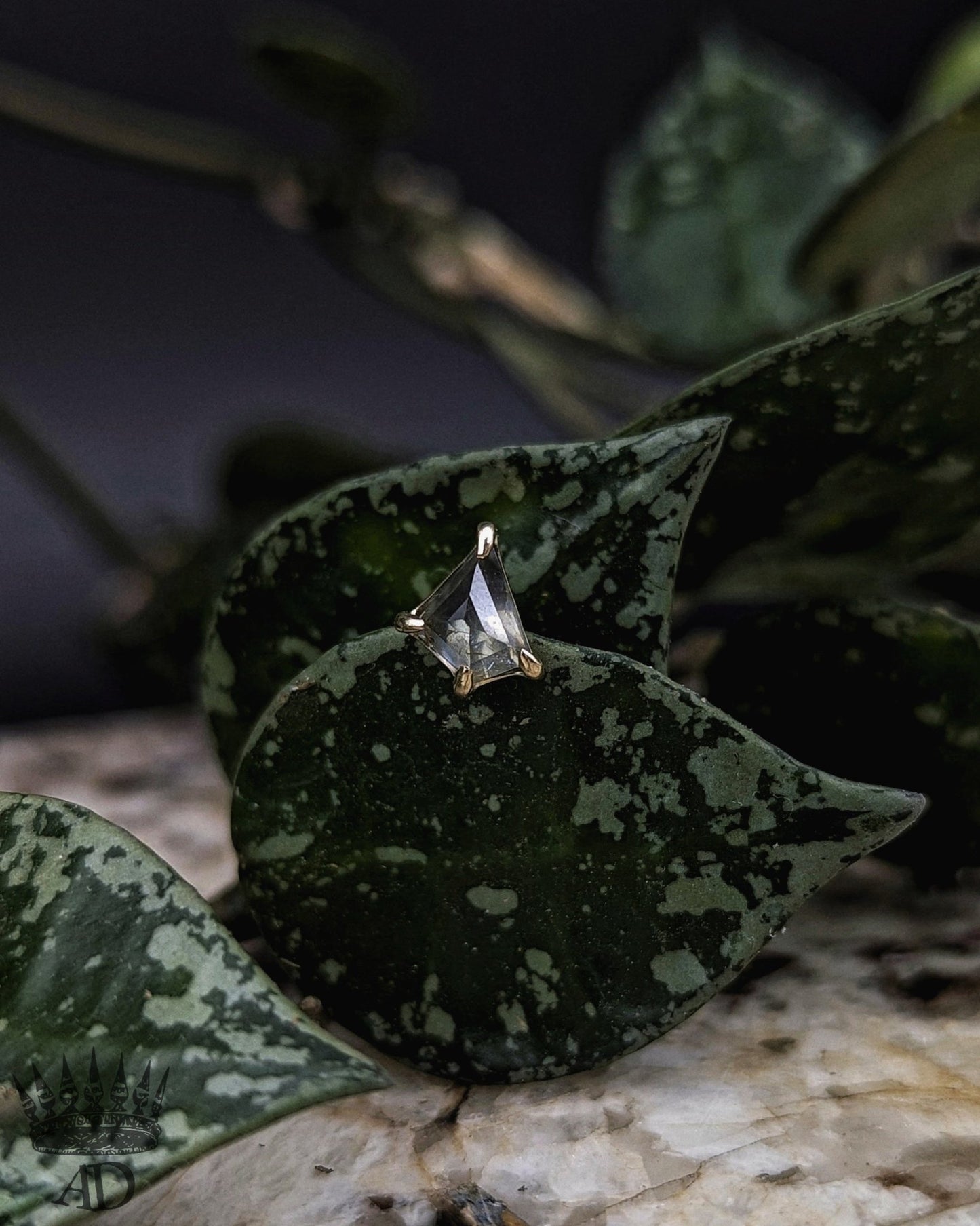 Sappa Perrarus End - Aurum Deorum - piercing jewellery