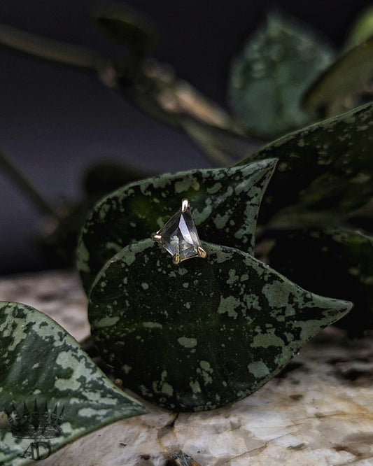 Sappa Perrarus End - Aurum Deorum - piercing jewellery
