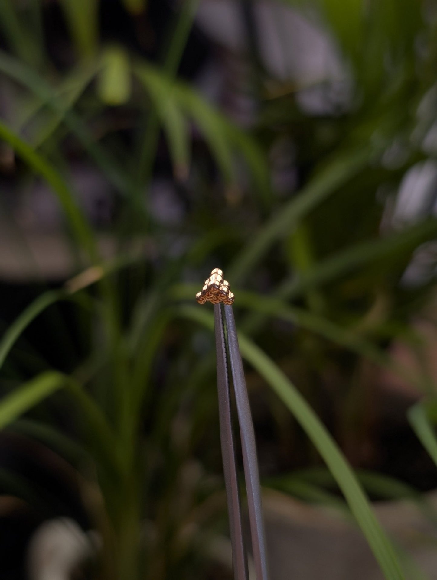 Smol Stack Threadless End - Aurum Deorum - piercing jewellery