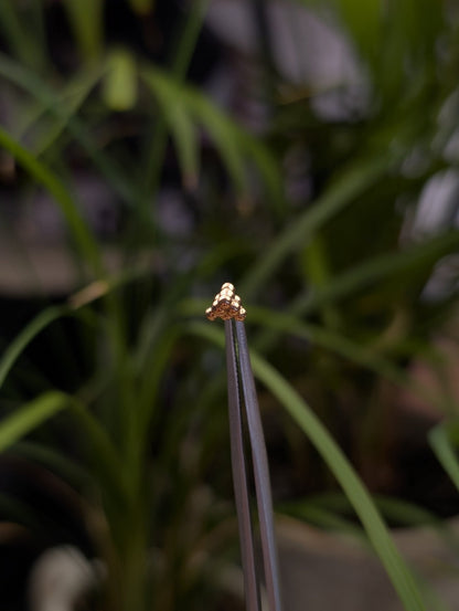 Smol Stack Threadless End - Aurum Deorum - piercing jewellery