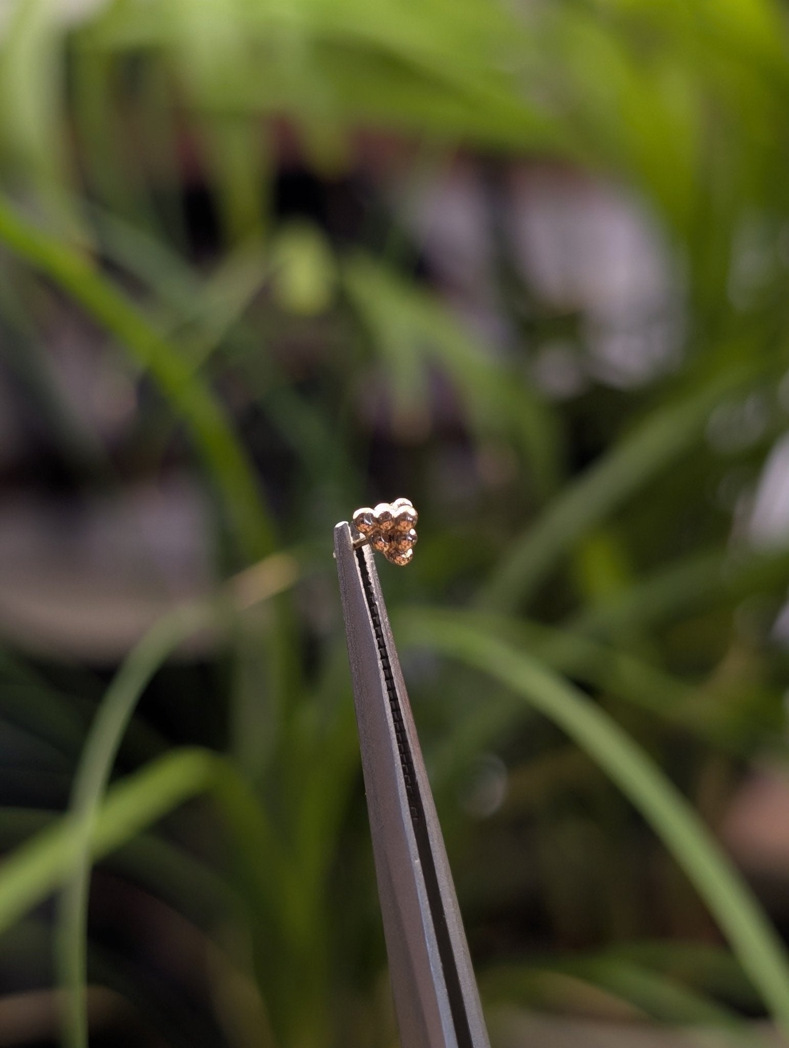 Smol Stack Threadless End - Aurum Deorum - piercing jewellery