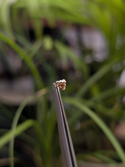 Smol Stack Threadless End - Aurum Deorum - piercing jewellery
