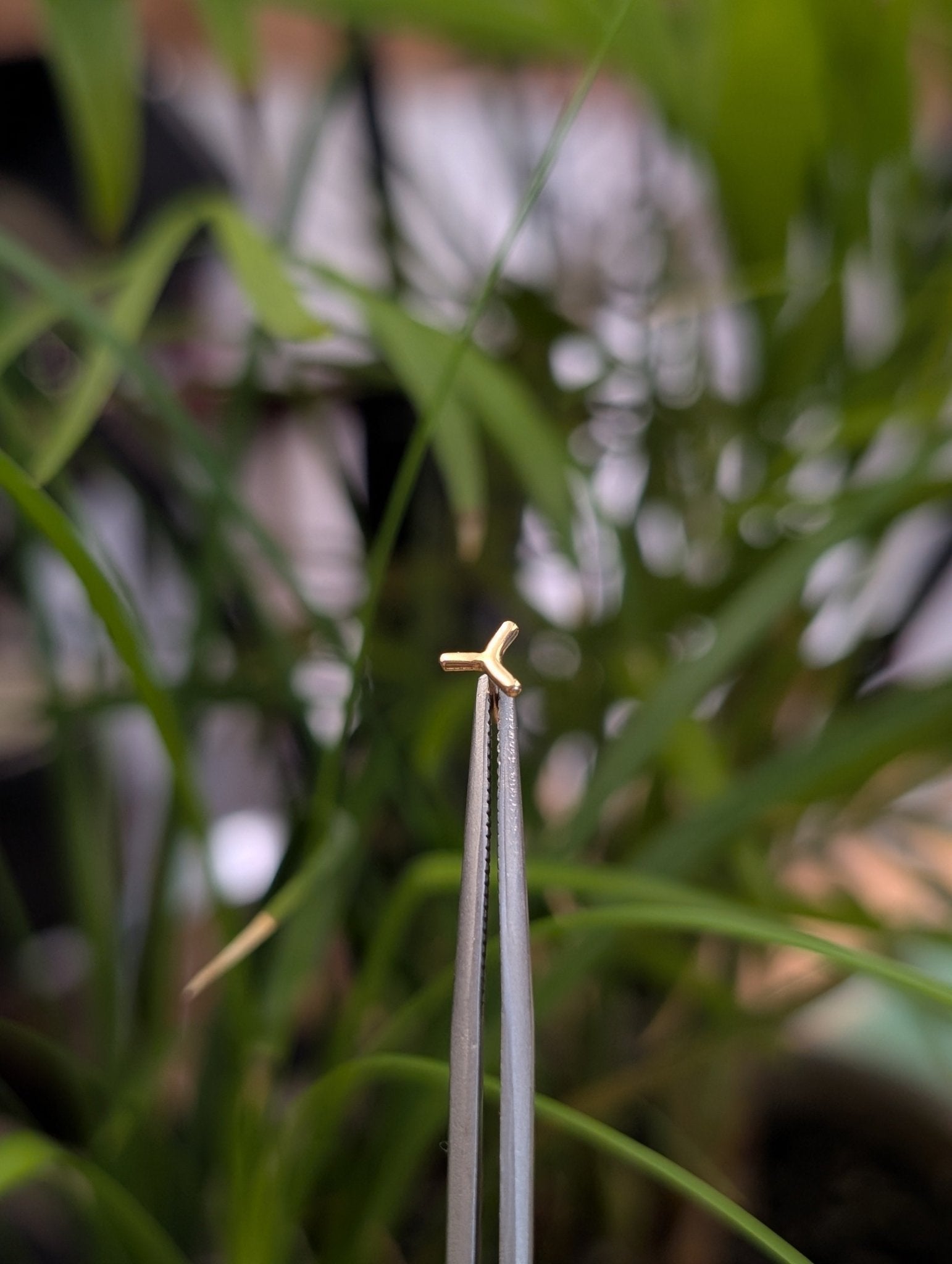 Speck Threadless End - Aurum Deorum - piercing jewellery