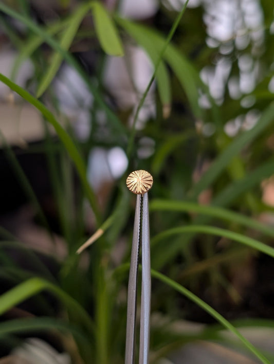 Texture disk No.3 Threadless End - Aurum Deorum - piercing jewellery