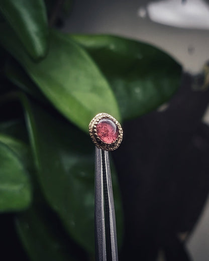 Turmali Ornatia no.2, solid 14k gold tourmaline threadless piercing end by Aurum Deorum