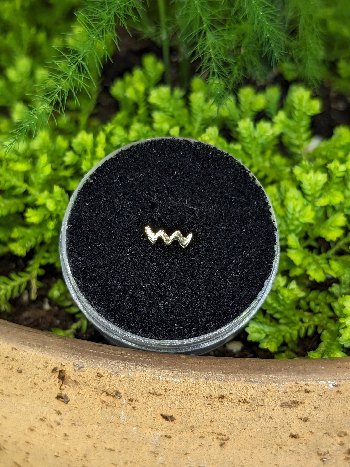 Zig - zag - Aurum Deorum - piercing jewellery
